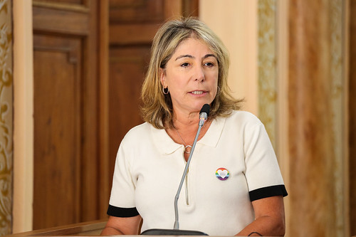  Maria Letícia Fagundes (PV) 
