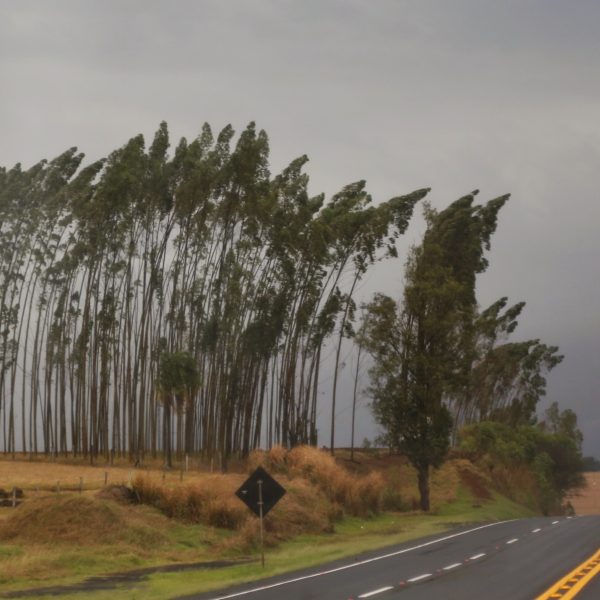 chuva previsão do tempo paraná