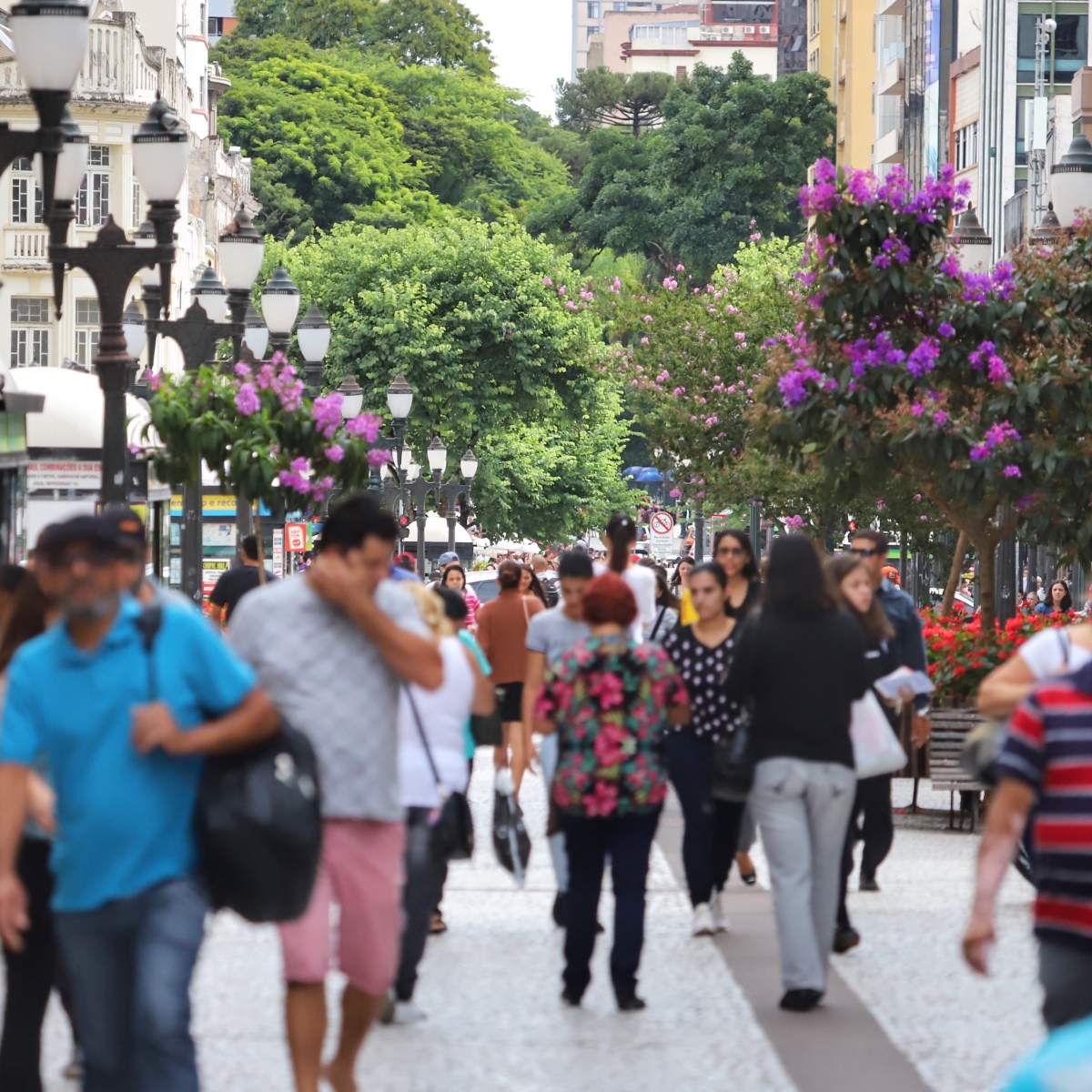  ibge censo cresce pretos pardos no paraná 