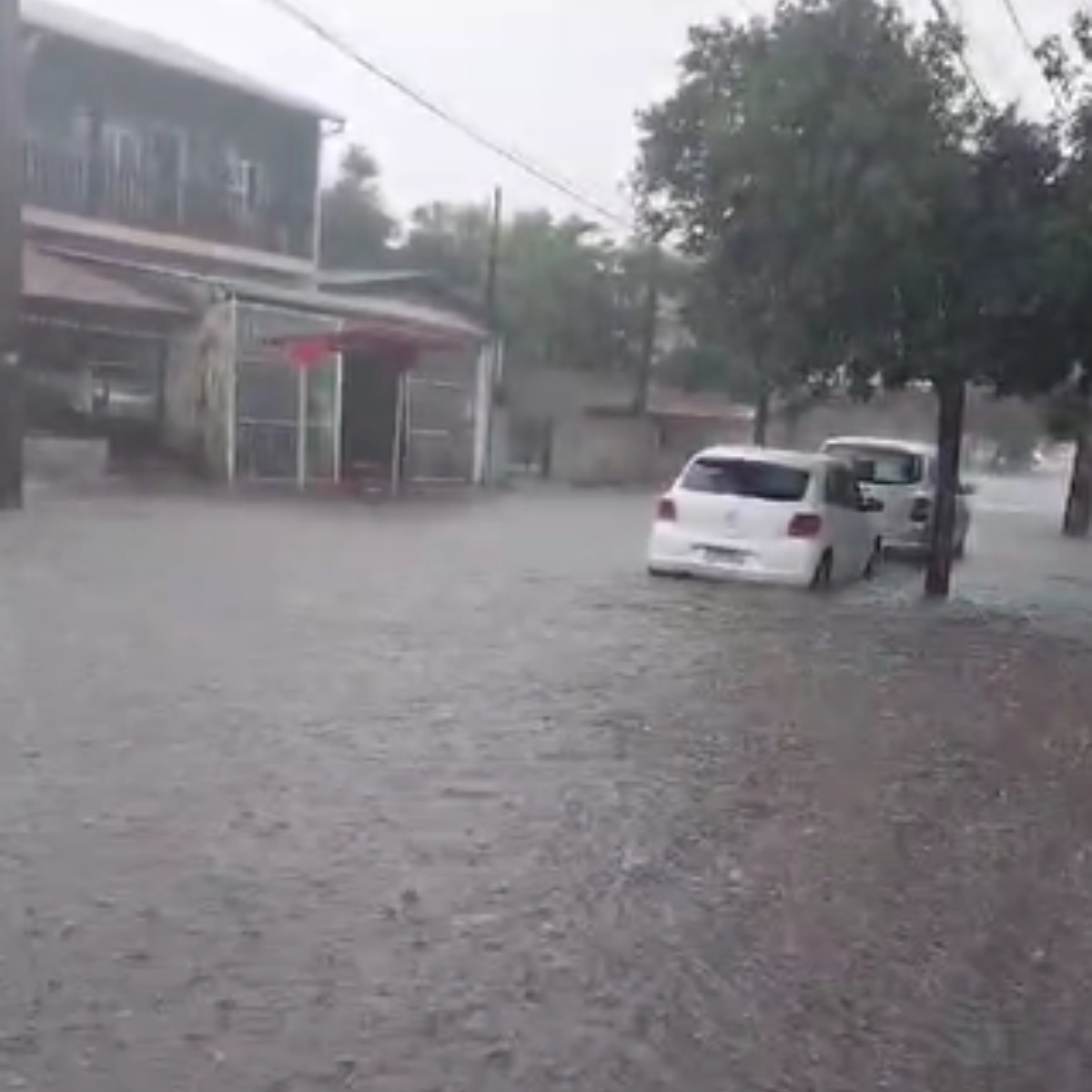  vendaval londrina estragos 