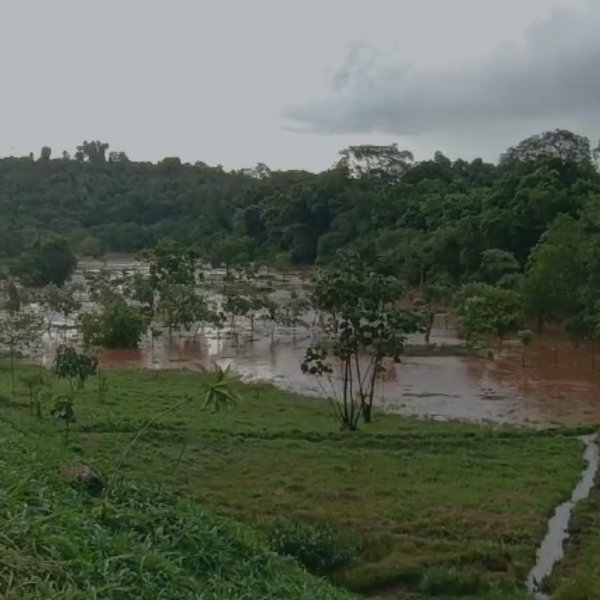 inundação vendaval londrina