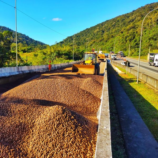 Acidente na BR-277 em Campo Largo, deixa uma pessoa morta e outra ferida  pista está interditada - Paraná Urgente