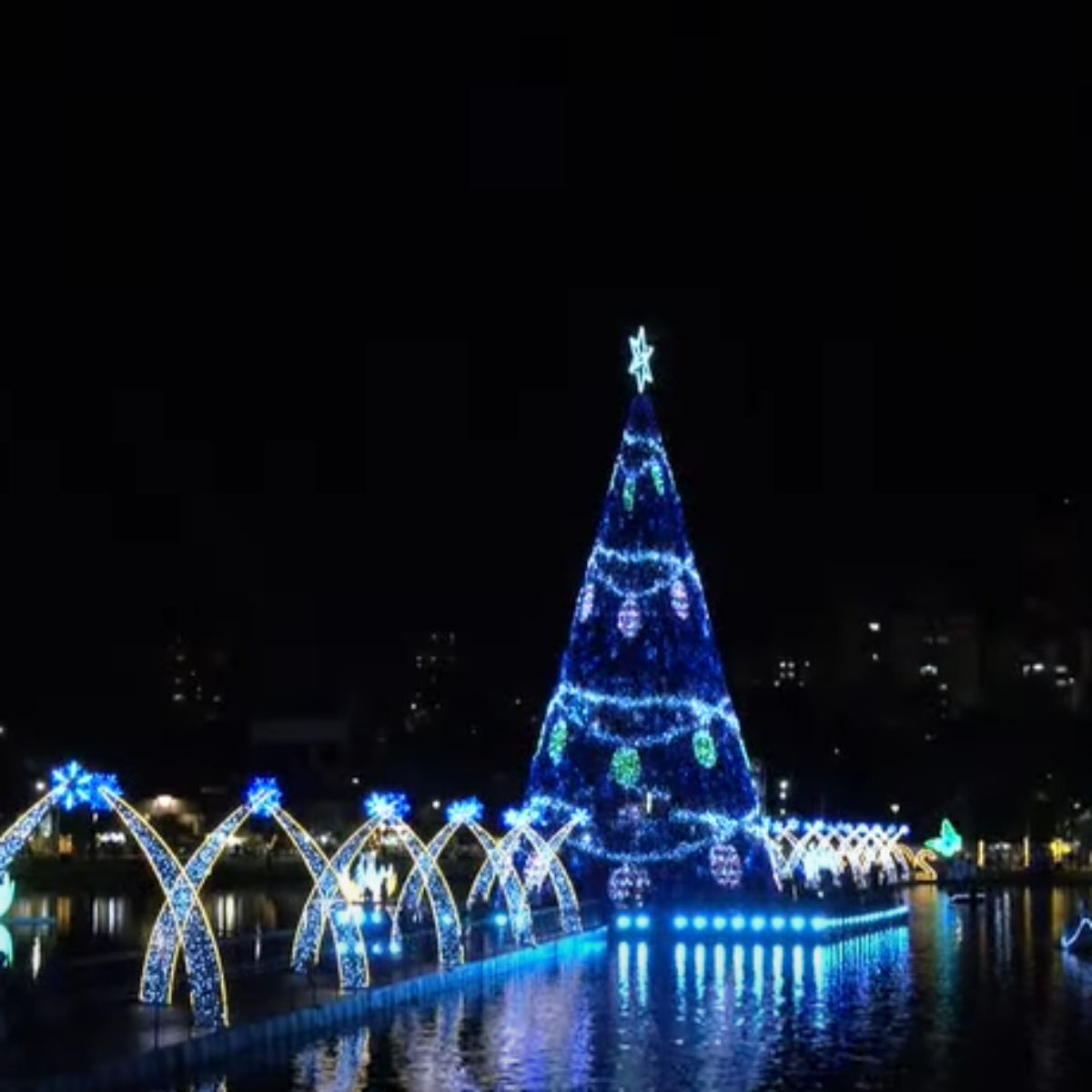  A árvore de Natal irá transmitir a contagem regressiva. 