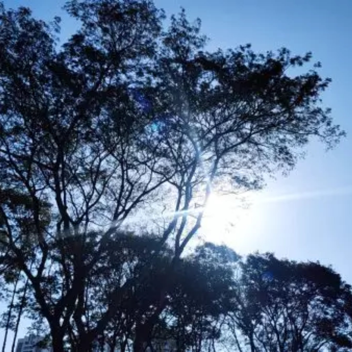  Calor no Paraná 