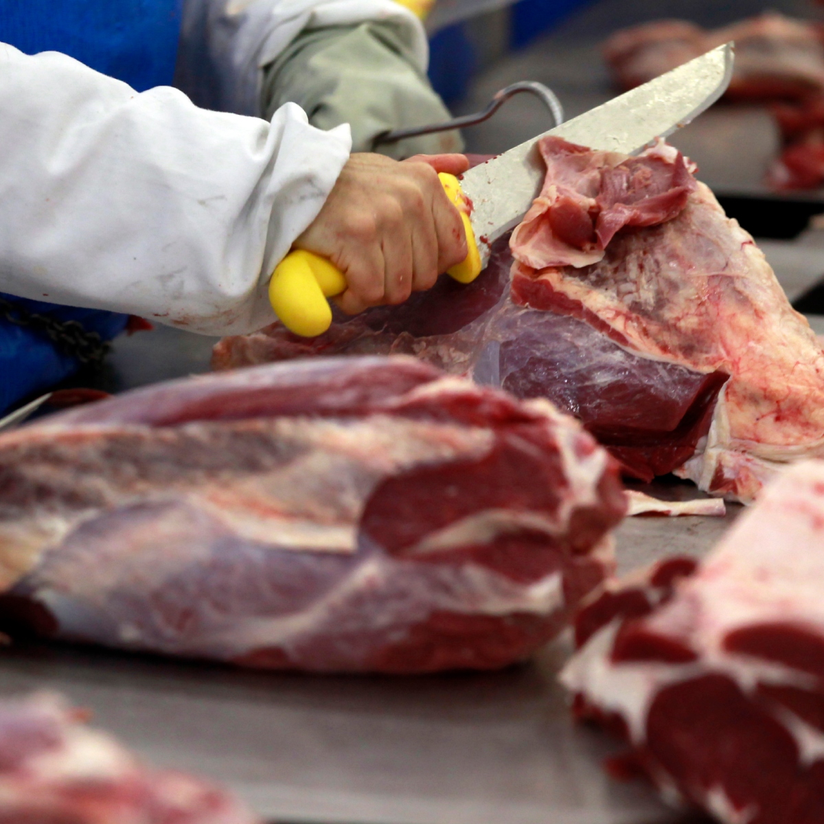  carne bovina aumento exportação 