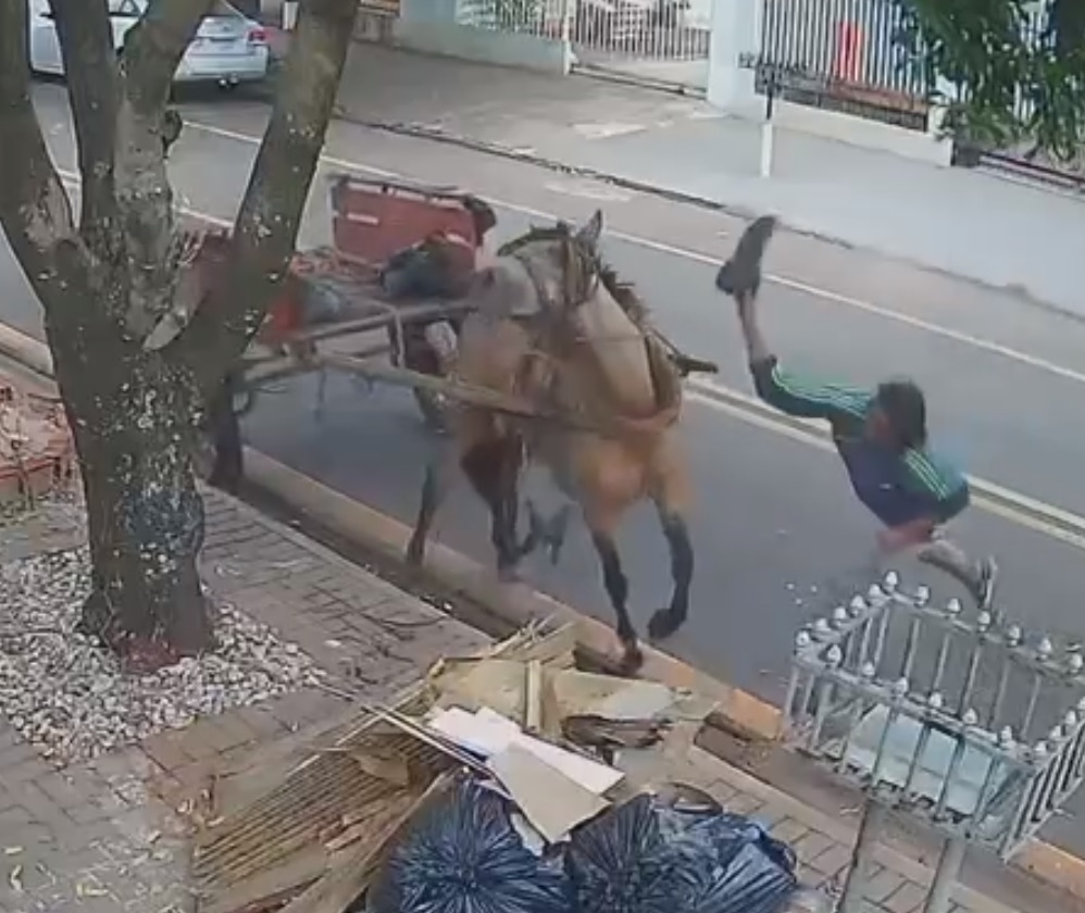 Homem é flagrado espancando cavalo no Paraná