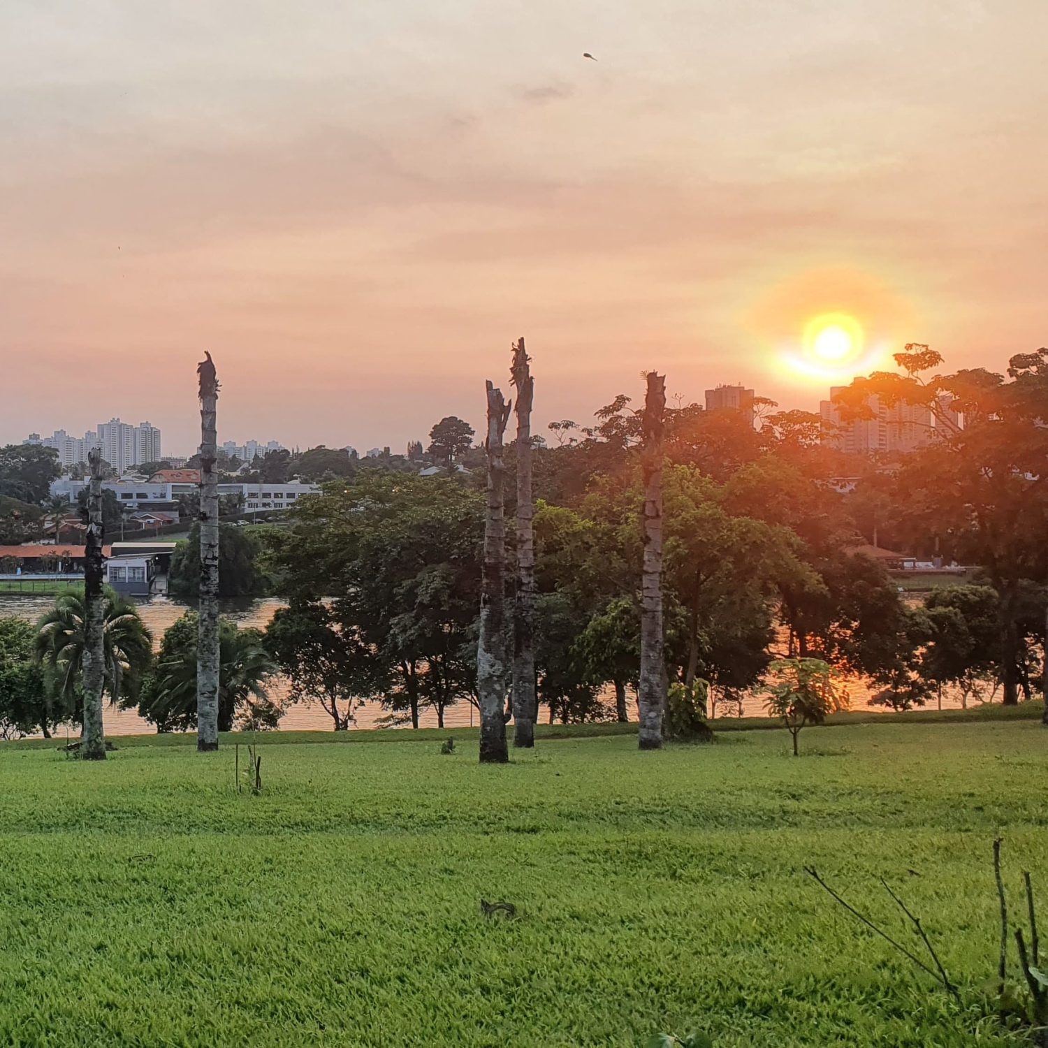  Londrina deve ter temperatura acima da média, nos próximos dias 