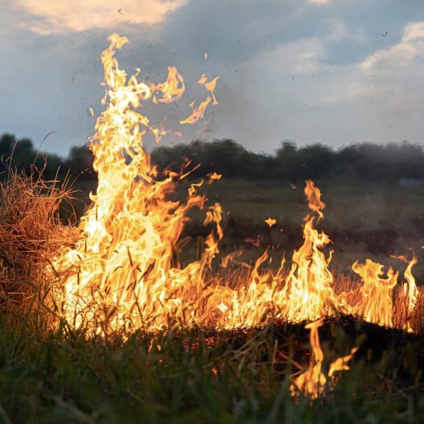 Homem que matou e incendiou corpo de adolescente de 17 anos, no PR, é condenado