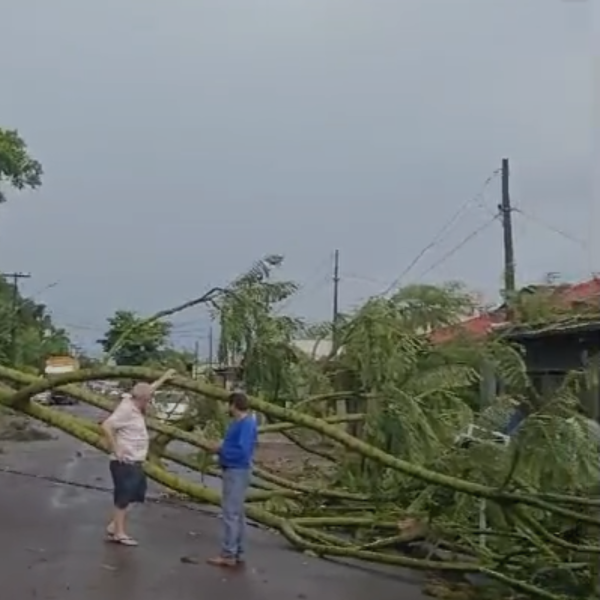 estragos chuva londrina