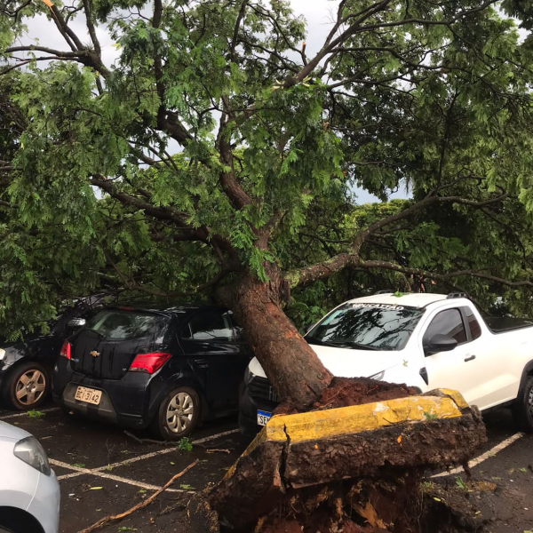 estragos chuva londrina