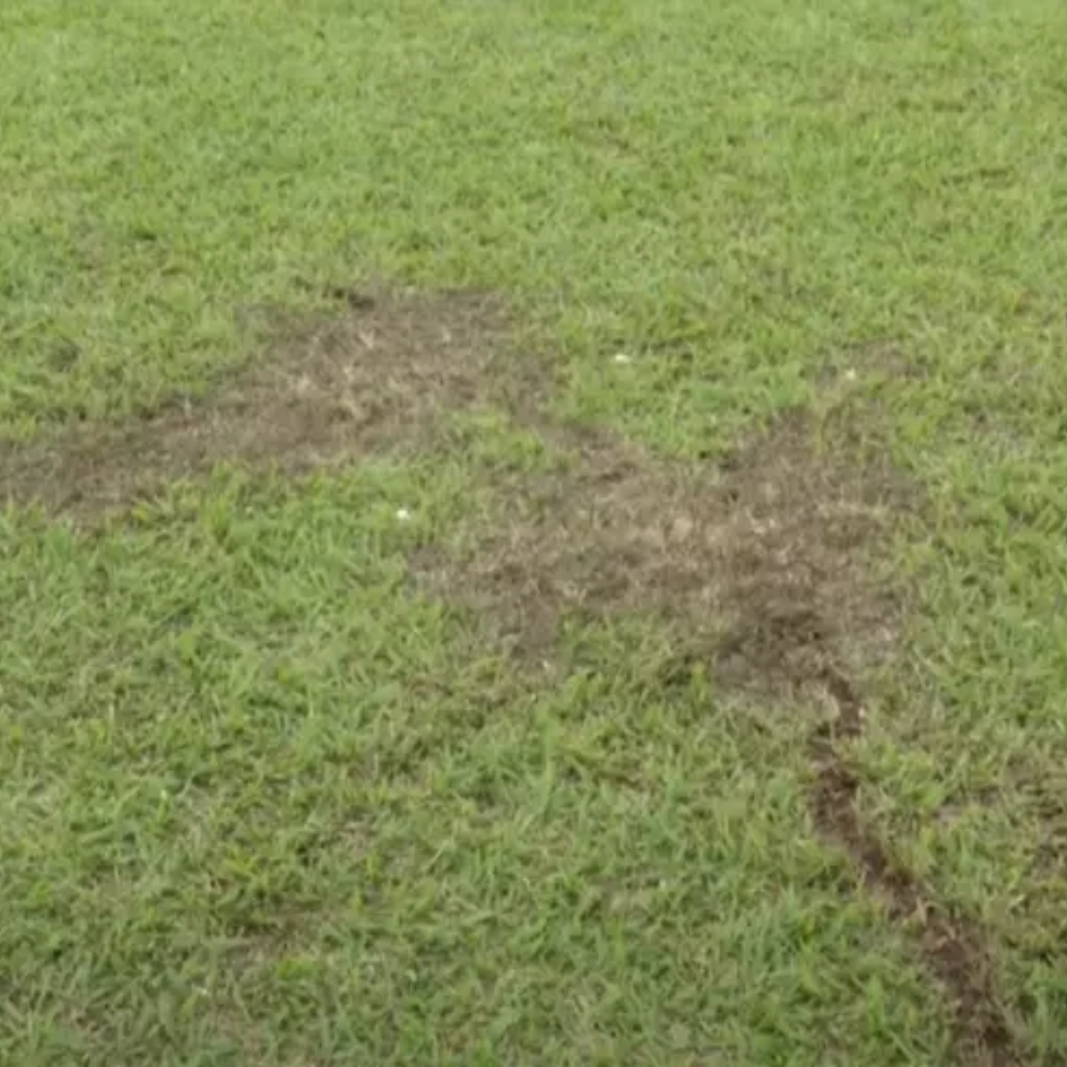  campo de futebol 