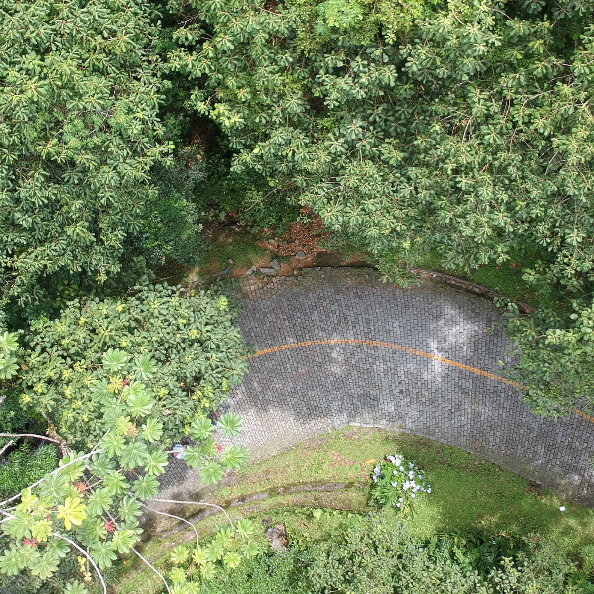  Bloqueio na Estrada da Graciosa 