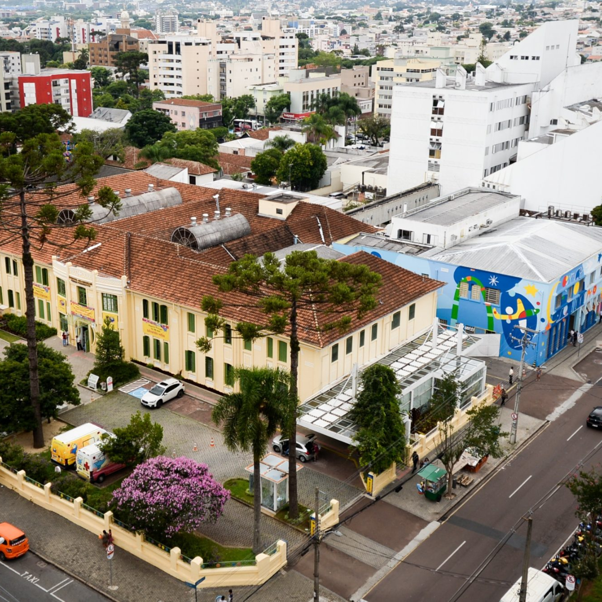  Hospital Pequeno Príncipe 