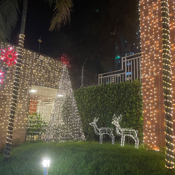 Vencedores de melhor decoração natalina