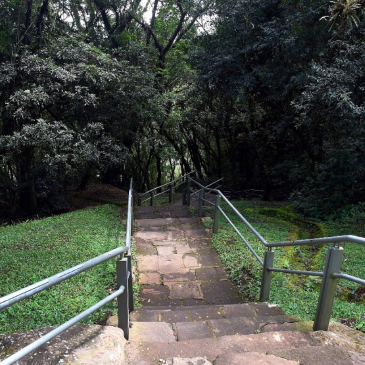  Escadaria no Parque Estadual do Monge, na Lapa 