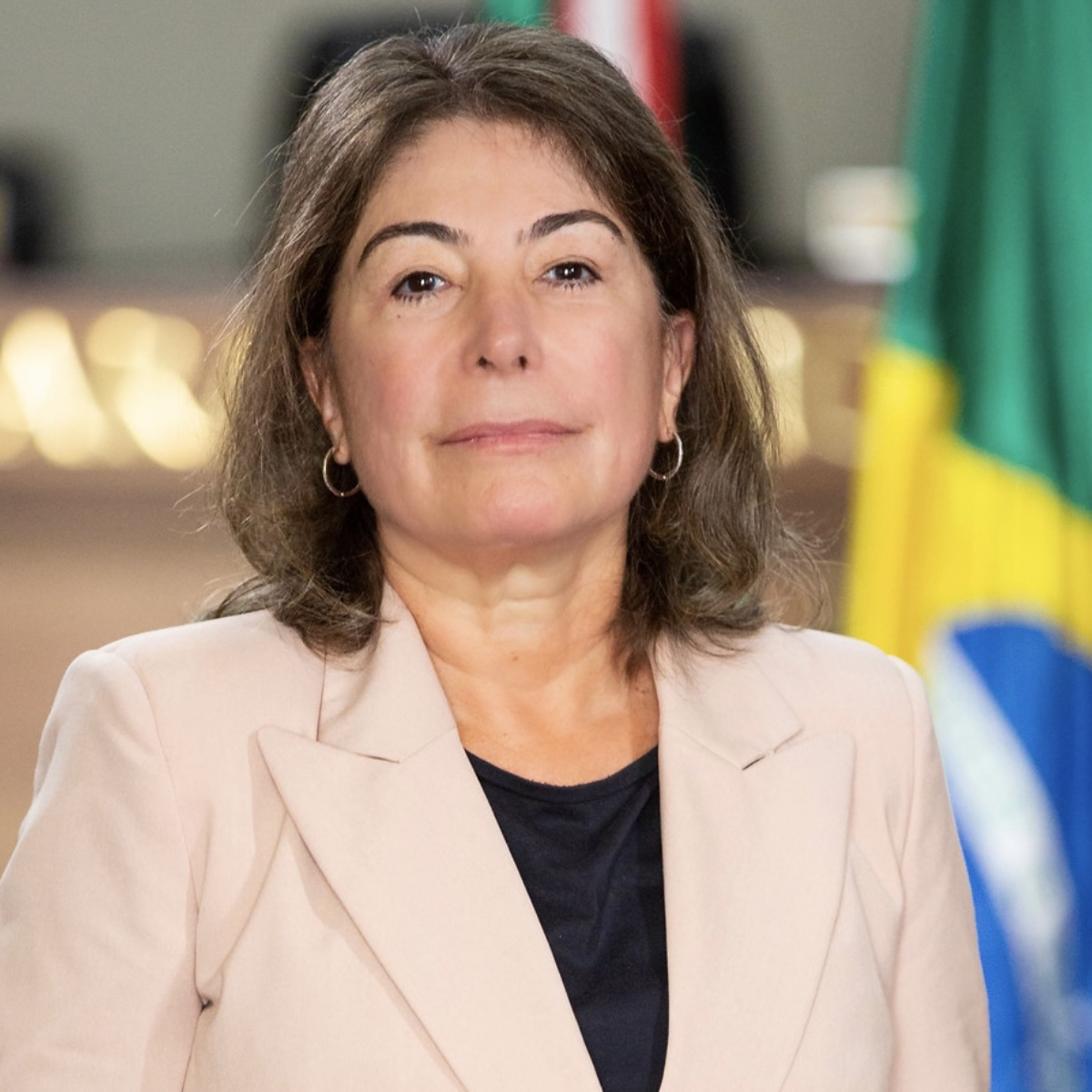  Maria Letícia (PV) foi denunciada pelo Ministério Público 