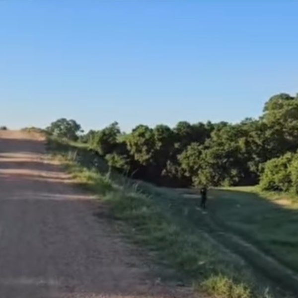 Mulher é encontrada morta degolada com pés e mãos amarrados em matagal