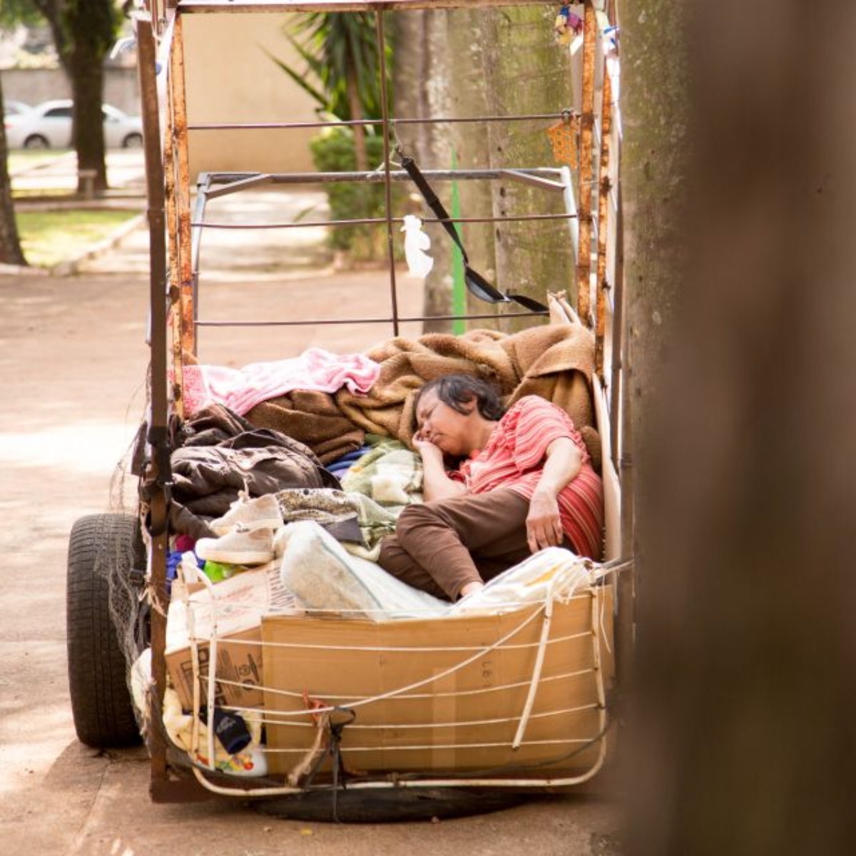  Pessoas em situação de rua; Maringá 