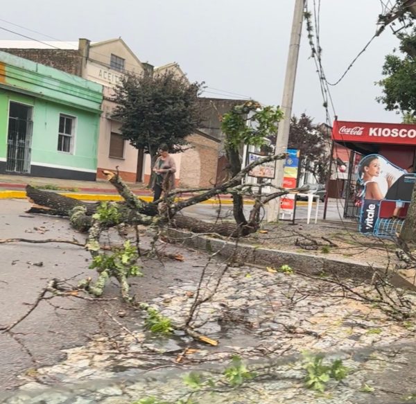 Tempestade deixa 13 mortos e estragos na Argentina; veja imagens