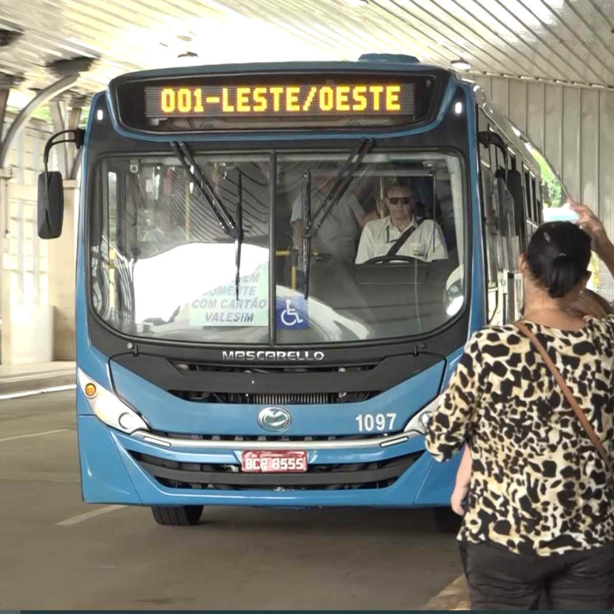  licitação transporte 