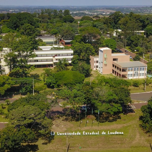 universidades estaduais