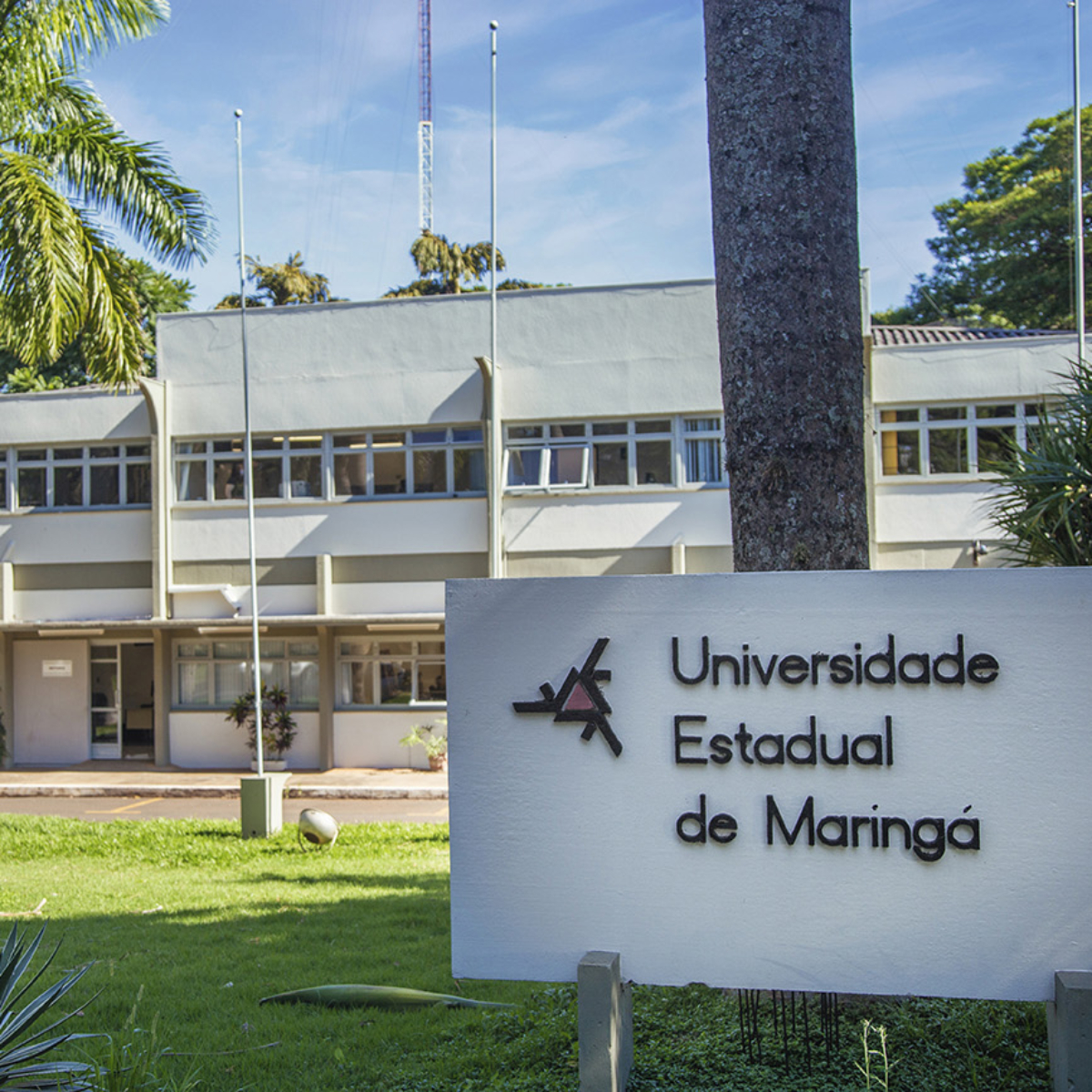  universidades estaduais 