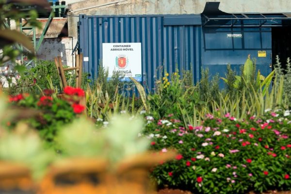 Viveiro Municipal de Maringá fará promoção de plantas e flores; veja detalhes