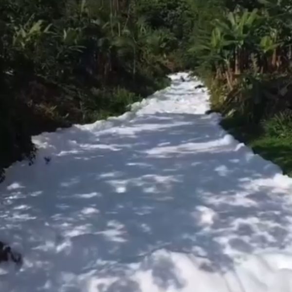 ácido sulfônico vaza e contamina rio de Santa Catarina