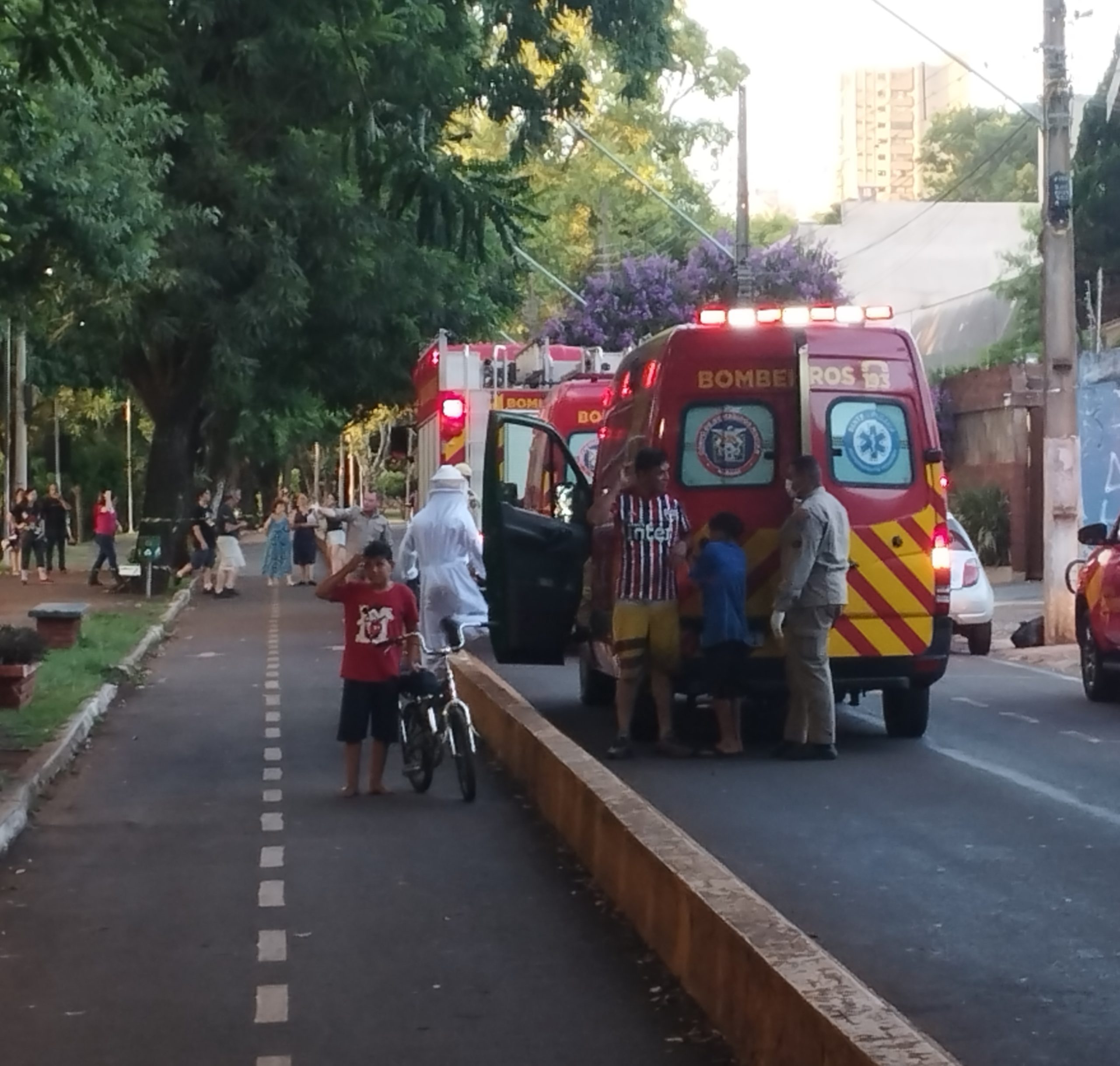  ataque abelhas zerão londrina 