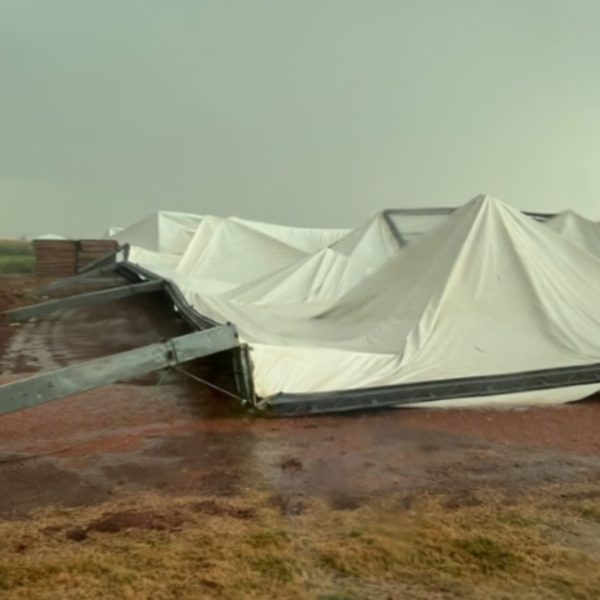 Evento da cooperativa C.Vale foi destruído durante vendaval em Palotina