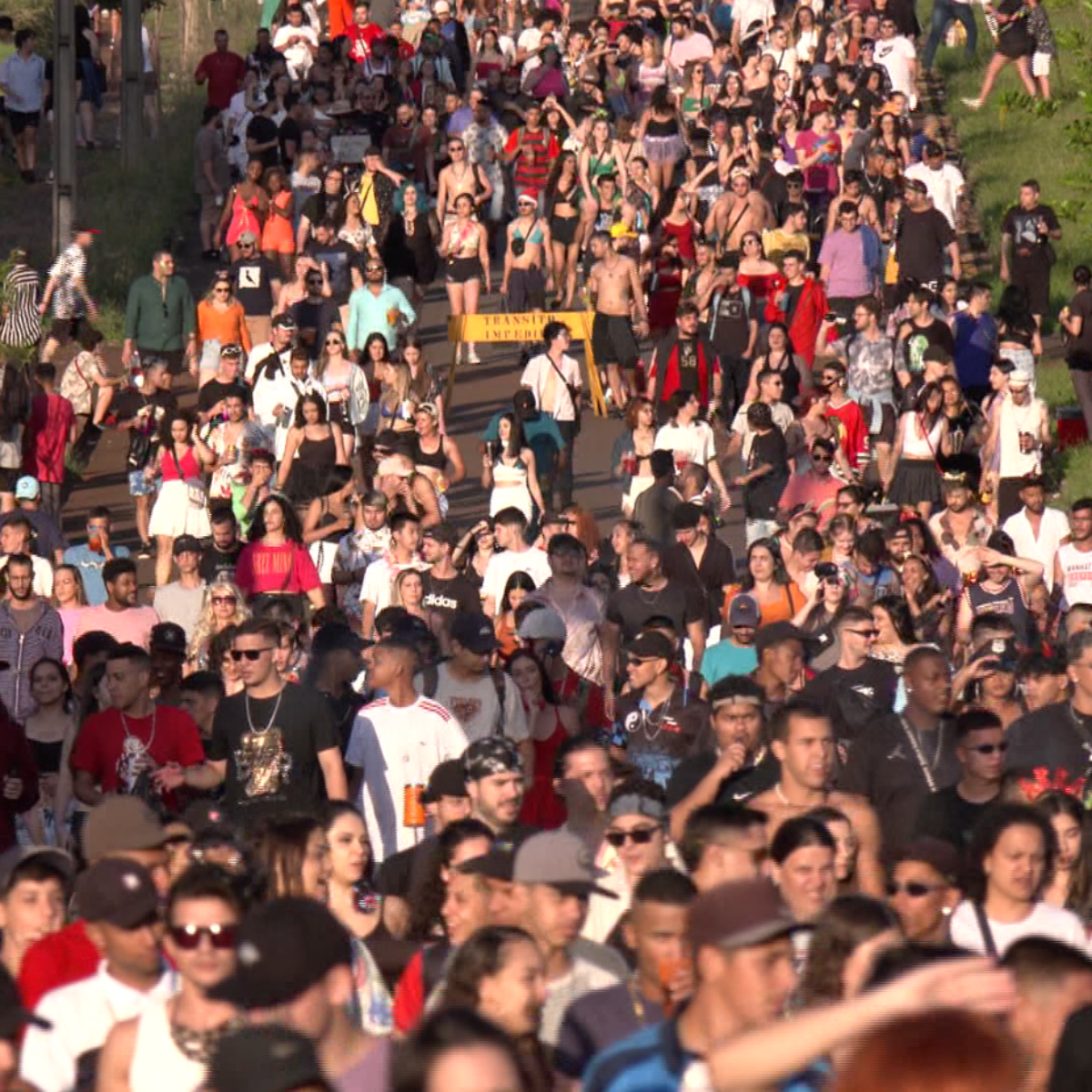  Foliões no Carnaval 2023 de Londrina 