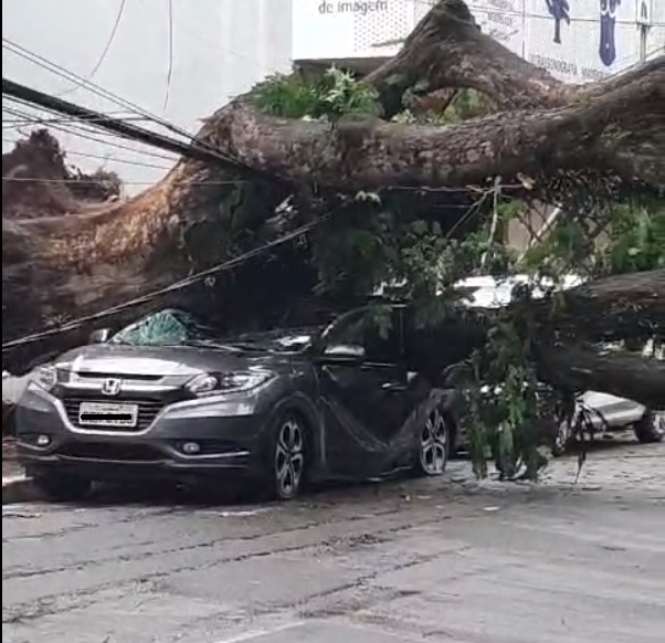  chuva estragos vento maringá 