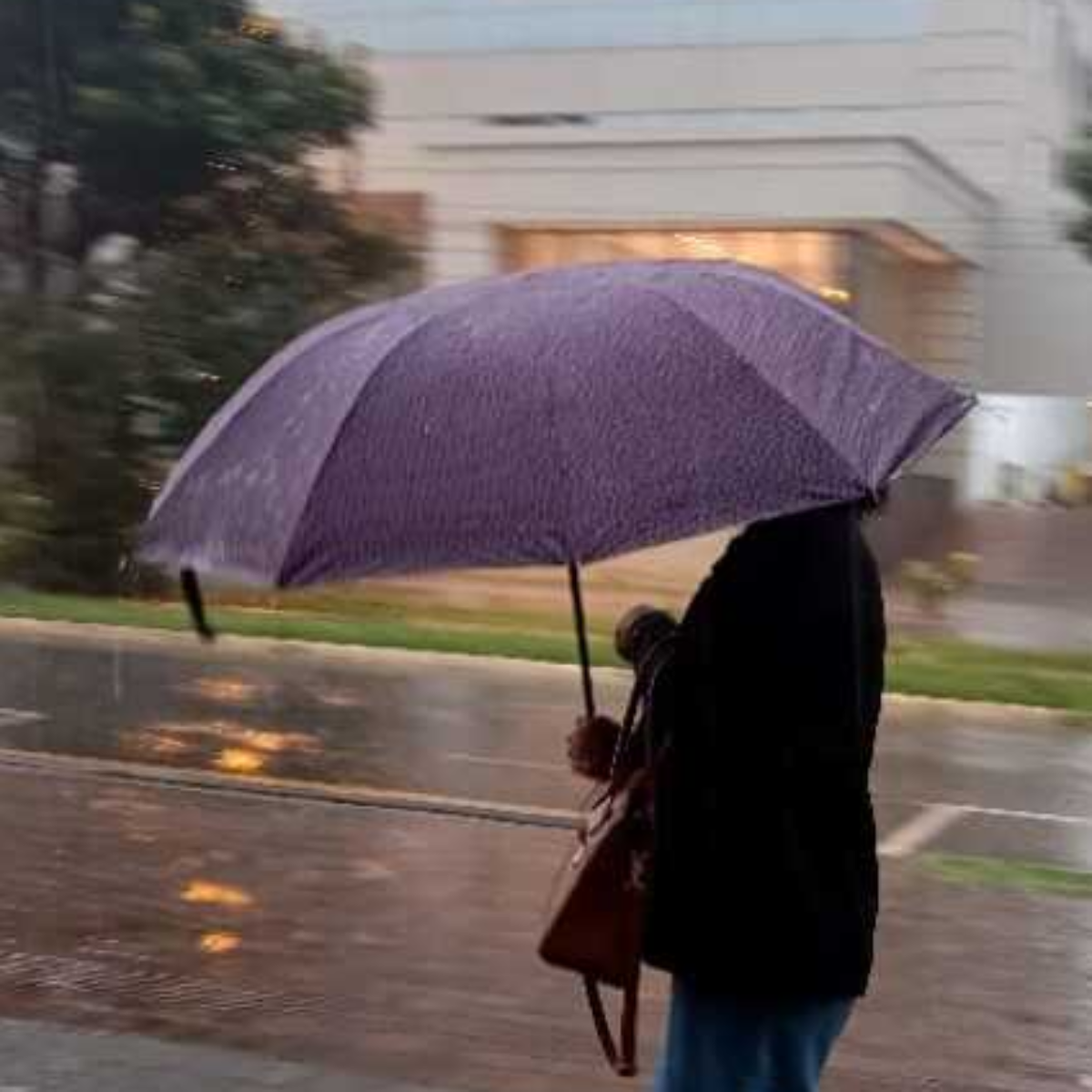  Londrina tem possibilidade de 16.2 mm de chuva. 