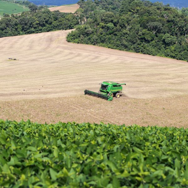 EUA confirma exportação de 297 mil toneladas de soja para a China