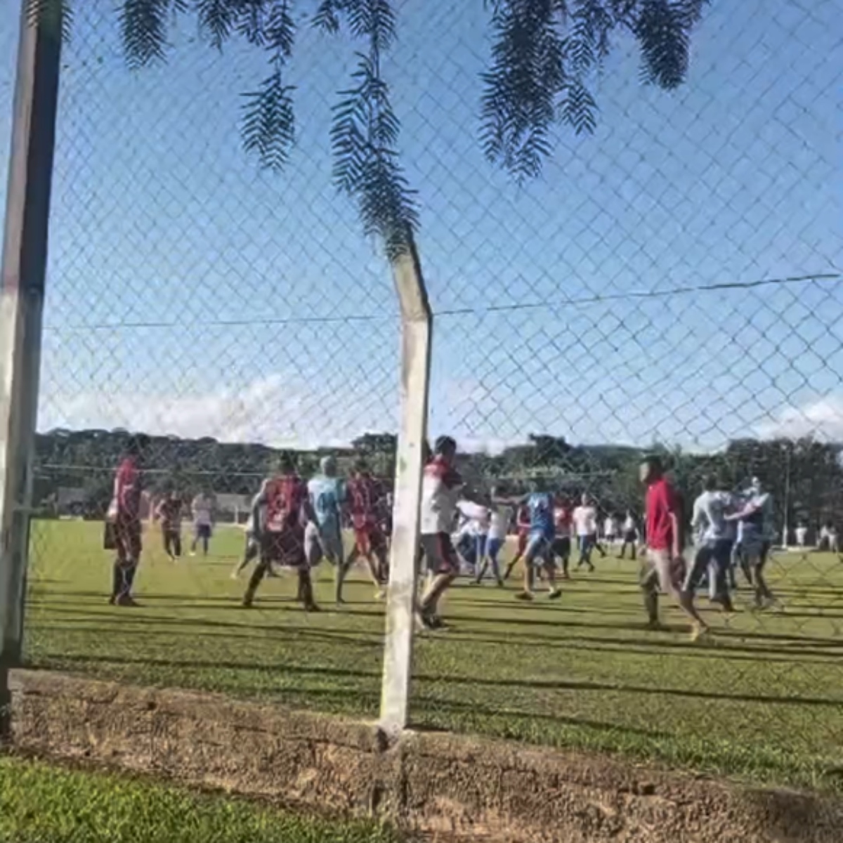  Briga em campo no Paraná 