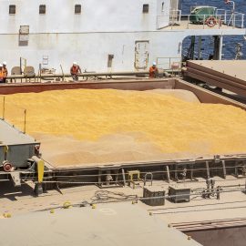 exportação de soja e farelo de milho