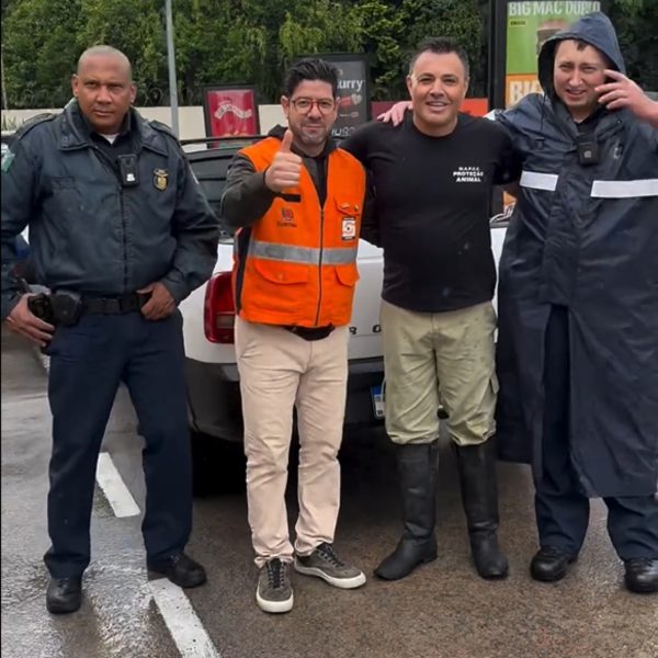 Capivara foi flagrada no drive-thru do McDonald's, em Curitiba