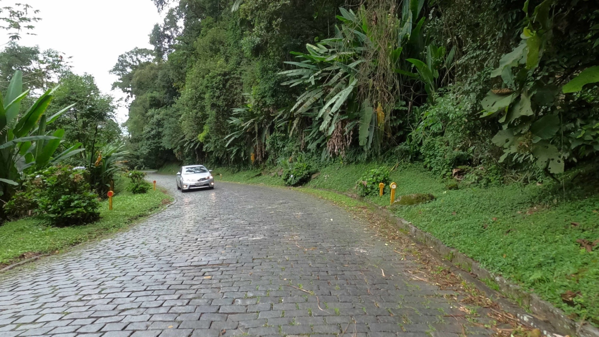  Estrada da Graciosa risco de deslizamentos 