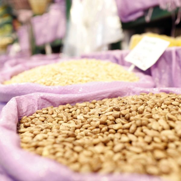 Produção de soja no Mato Grosso tende a ser a pior em 15 anos