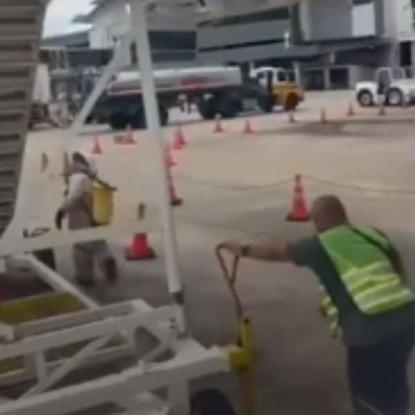 bombeiros combatem enxame de abelhas em aeroporto internacional de natal