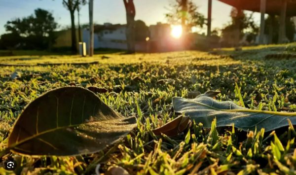 Amanhecer de um dia frio dia no Paraná