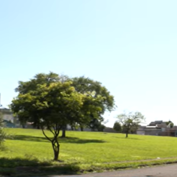 praça de londrina com árvores e grama em Londrina