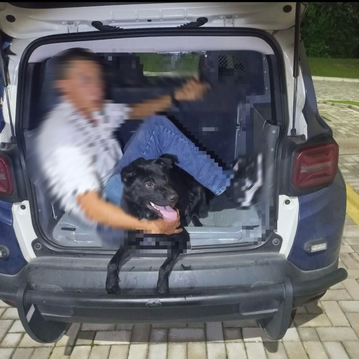  Homem é preso após abandonar cachorro 