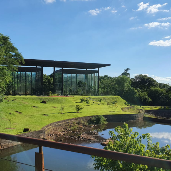 Céu azul no Jardim Botânico de Londrina