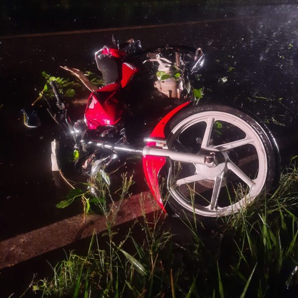 motociclista morreu depois de bater em árvore que caiu na pista PR-363