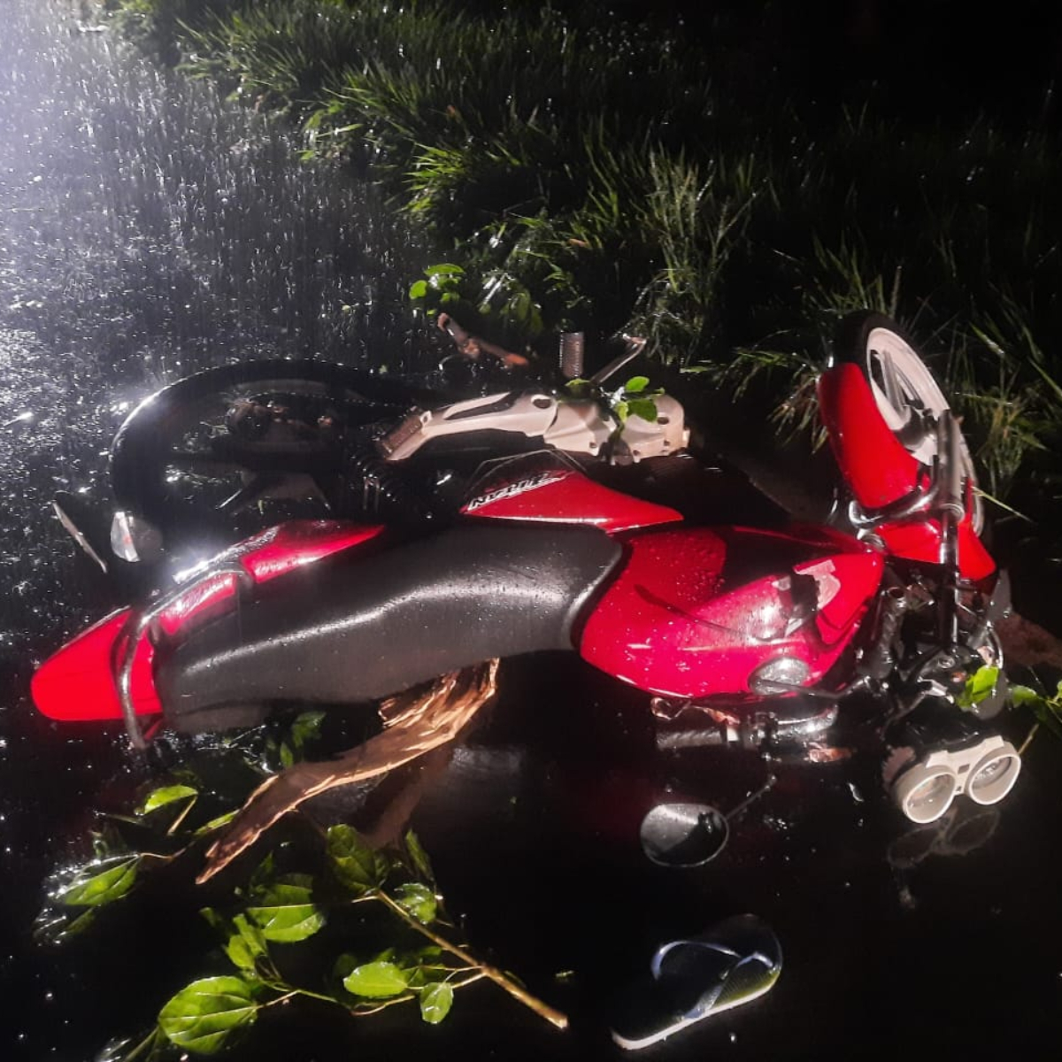  motociclista morreu depois de bater em árvore que caiu na pista PR-363 