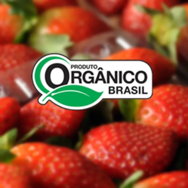 Selo de produto orgânico no Brasil