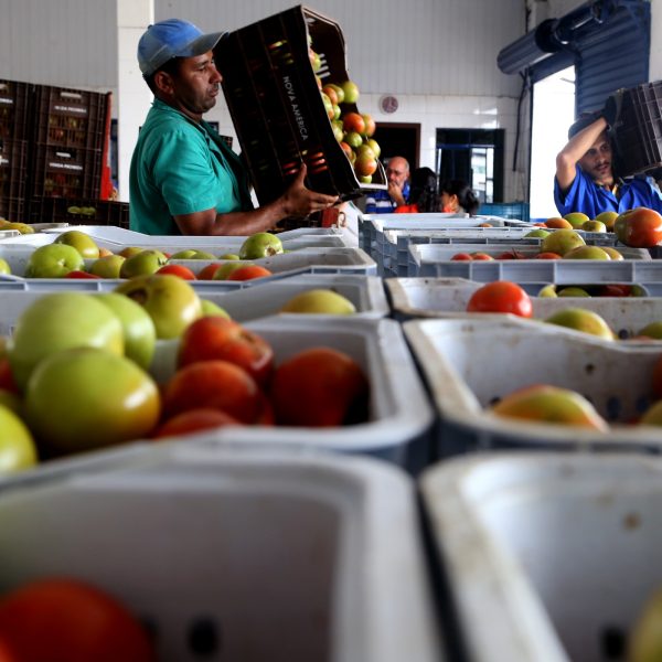 Preço de alimentos no PR caem em 2023