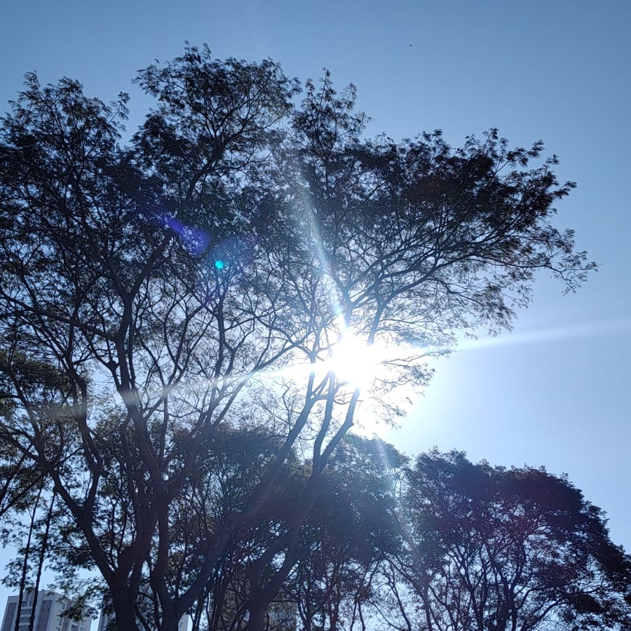 Sol brilha em parque de Curitiba 