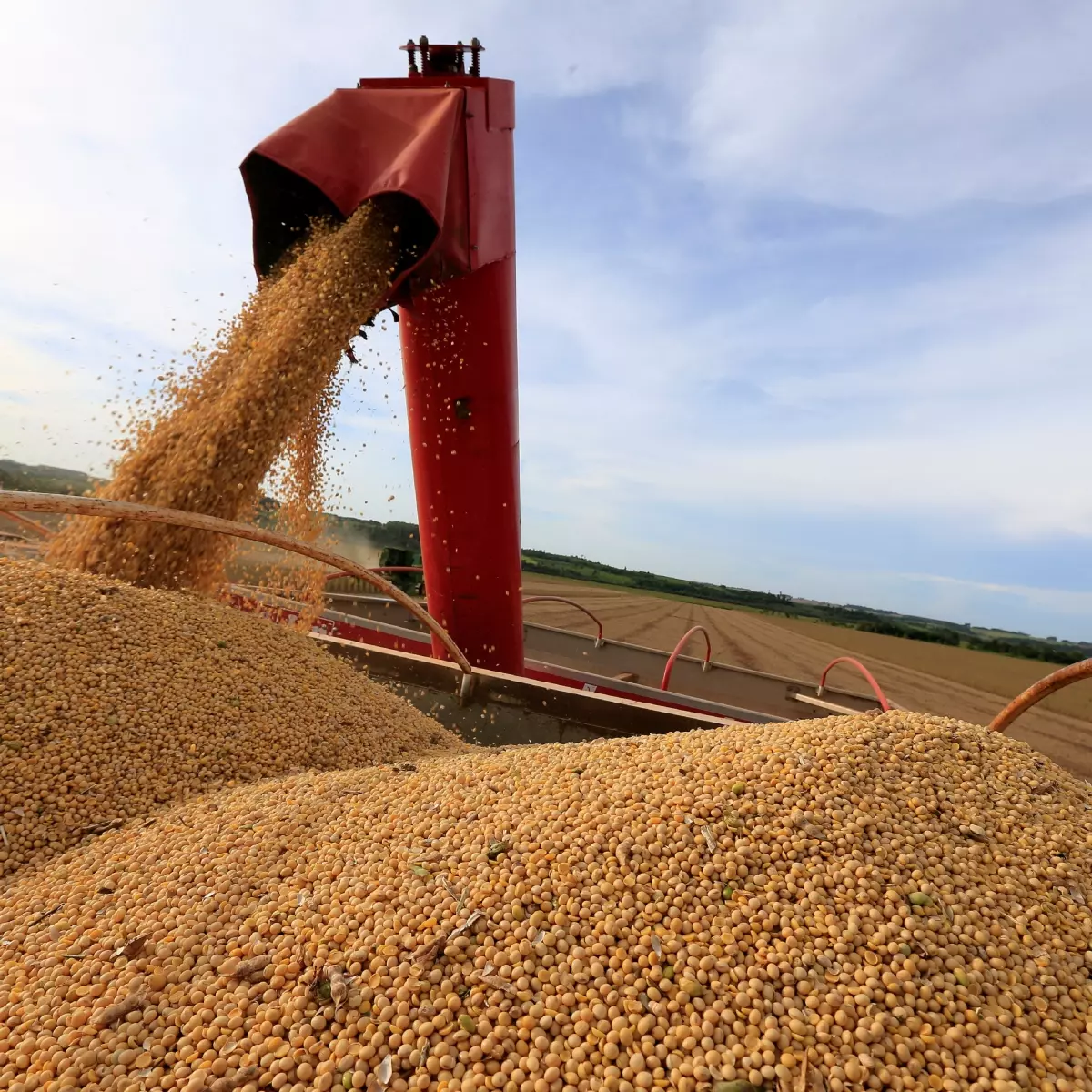  Produção de soja no Mato Grosso tende a ser a pior em 15 anos 